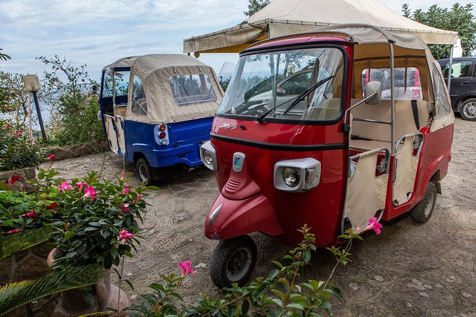 Sorrento Farm by Tuk Tuk: Cheese, Limoncello & Hands-On Pizza - Coffee, dessert, and the Sorrento finish