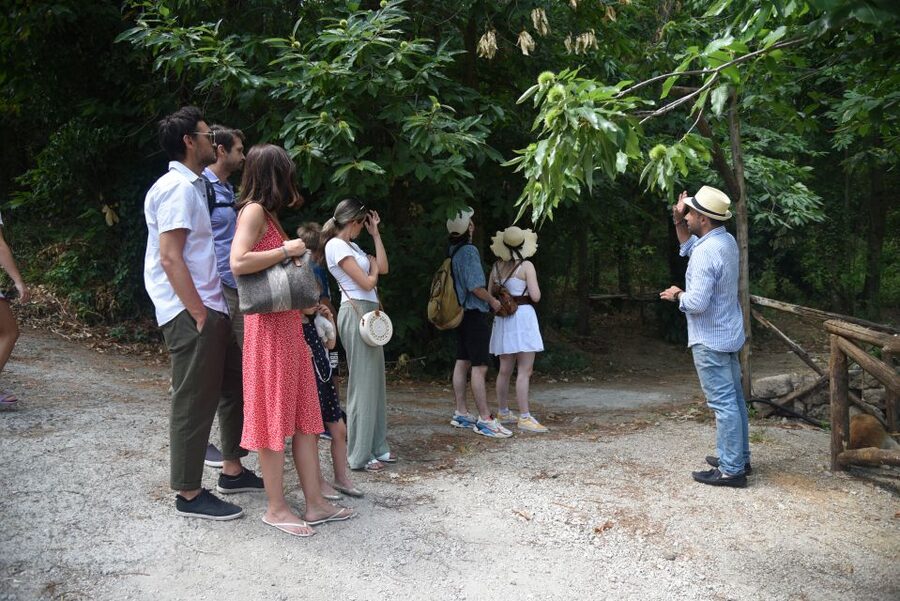 Sorrento: Farm Tour with Cheese Tasting & Pizza Making Class - A long farm lunch with wine and seasonal dishes