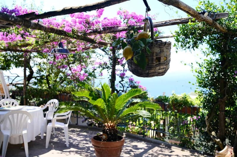 Sorrento: Marì Cooking Class in a Family Farm w/ Coast View - From Sorrento to the Hills Above Massa Lubrense