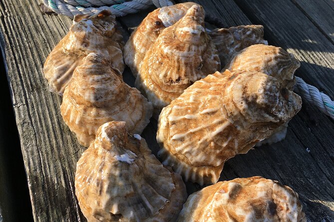 Southold Bay Oyster Farm Tour - From Hatchery to Oyster Bed at Southold Bay