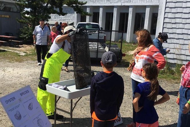 Southold Bay Oyster Farm Tour - Who Will Enjoy This Oyster Farm Visit?