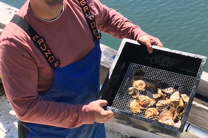 Southold Bay Oyster Farm Tour - Meeting Baby Oysters and Seeing the Grow-Out Stage