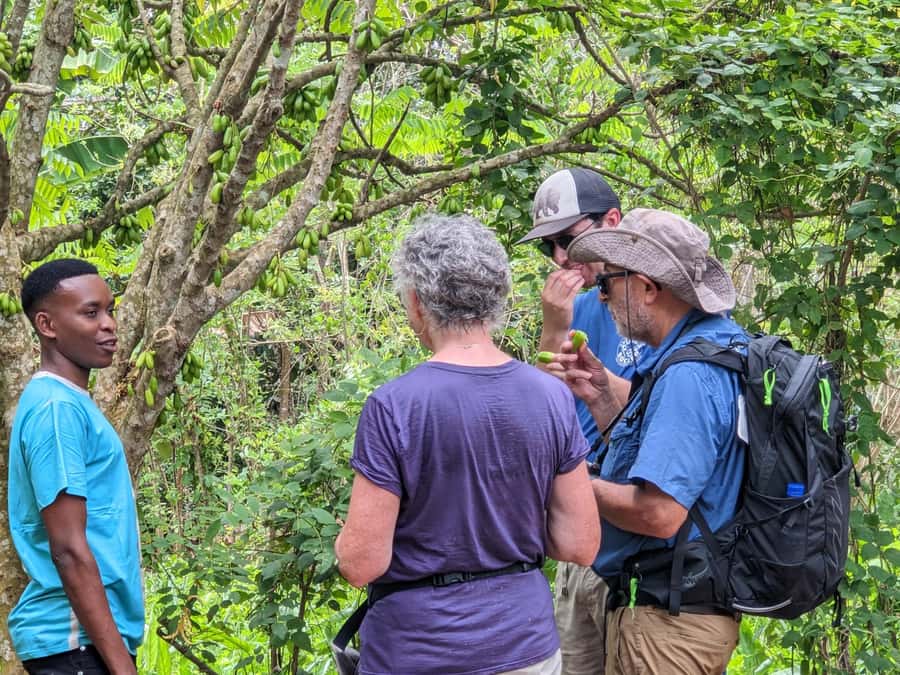 Spice Farm Bike Tour: Pedal Through Aromatic Adventures - Key points to know before you book