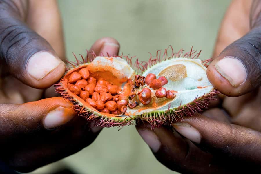 Spice Farm - spice up your life in Zanzibar - Who will enjoy this spice tour most