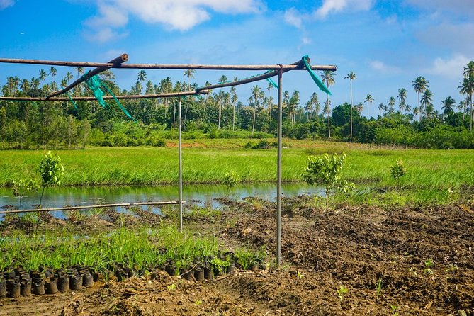 Spice farm walking tour with Zanzibar fruits tasting - Walking through villages and spice farms
