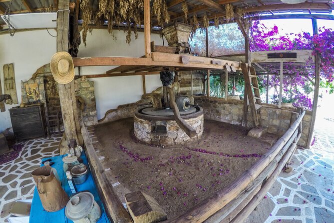 Spiridi Olive Oil Farm Tour - The self-guided tablet: useful, but not for everyone