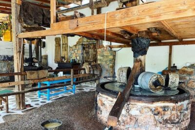 Spiridi Olive Oil Farm Tour