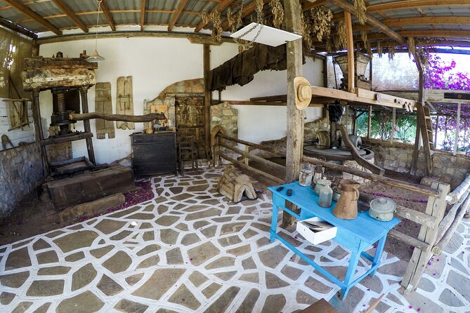 Spiridi Olive Oil Farm Tour - How much time to allow near Agios Nikolaos