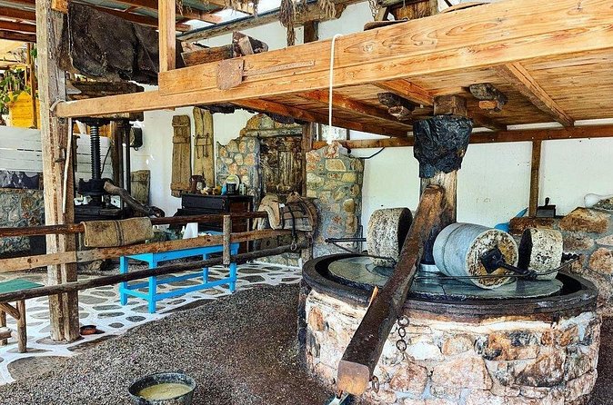 Spiridi Olive Oil Farm Tour - Who will enjoy this olive farm visit