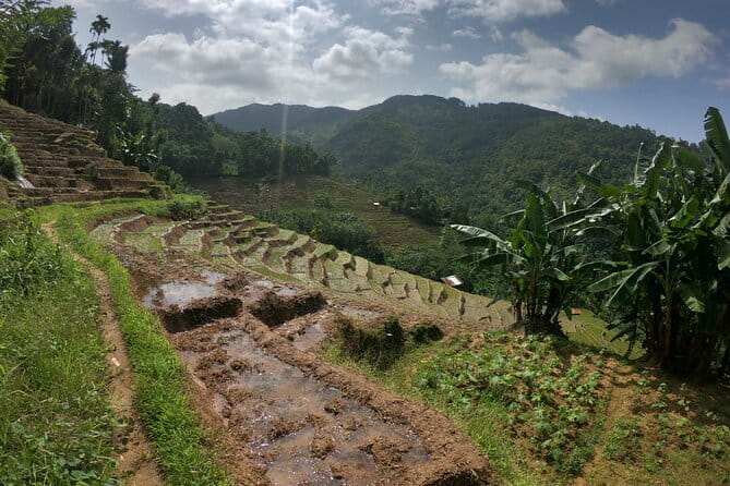 Sri Lanka All Inclusive Day Tour: Hiking & Activities Farmers Village Kandy - Knuckles Conservation Forest in two active hours