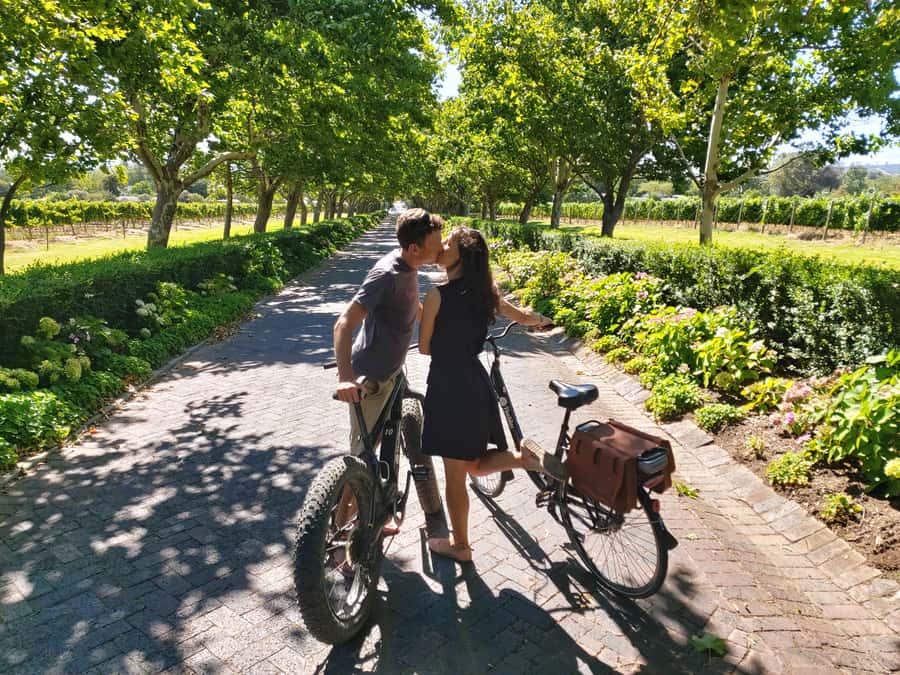Stellenbosch: Wine Farm E-Bike Guided Tour - Riding into the Jonkershoek Valley