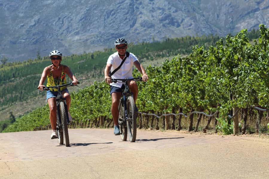 Stellenbosch: Wine Farm E-Bike Guided Tour - A second ride through Stellenbosch wine country