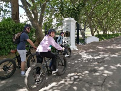 Stellenbosch: Wine Farm E-Bike Guided Tour