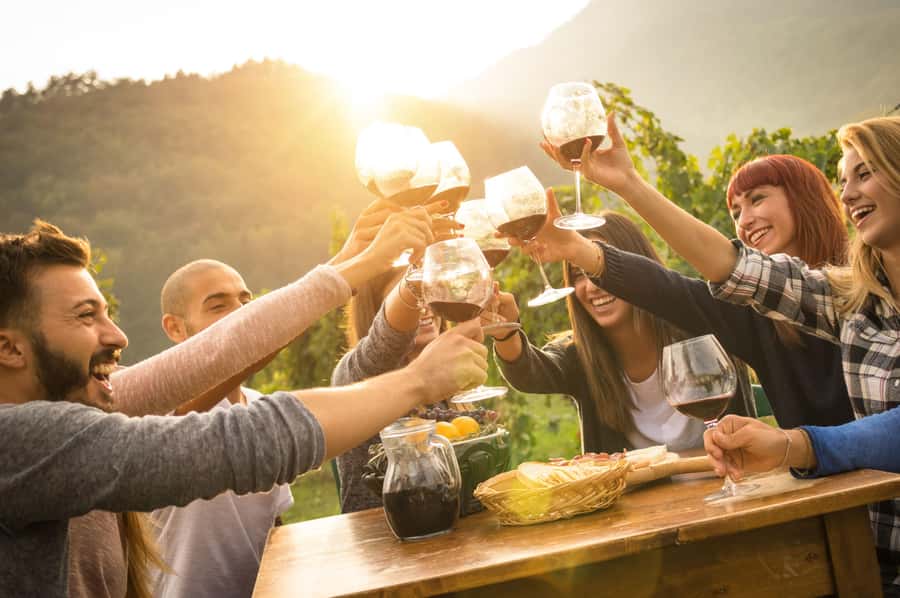 Stellenbosch: Wine Farm E-Bike Guided Tour - How difficult is the e-bike ride?