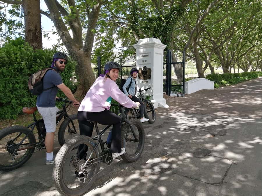 Stellenbosch: Wine Farm E-Bike Guided Tour - The first wine farm: tasting time after the ride