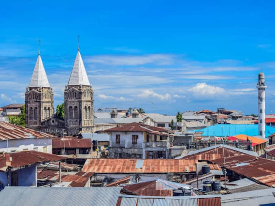 STONE TOWN AND SPICE FARM TOUR - The strongest part of the day