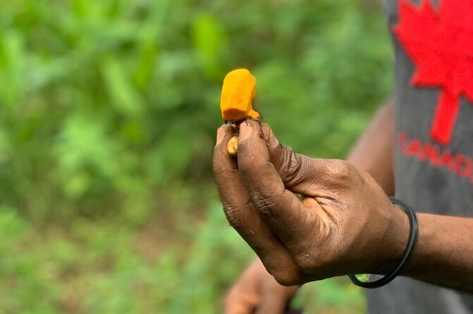 STONE TOWN and SPICE FARM TOUR ( Lunch Included ) - Eating Swahili food in Stone Town