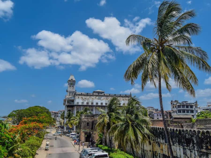 STONE TOWN AND SPICE FARM TOUR - What the spices tell you about Zanzibar