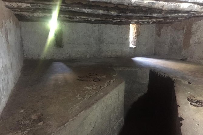 Stone Town, Spice Farm and Jozani Forest Private Tour - Key points to know before booking