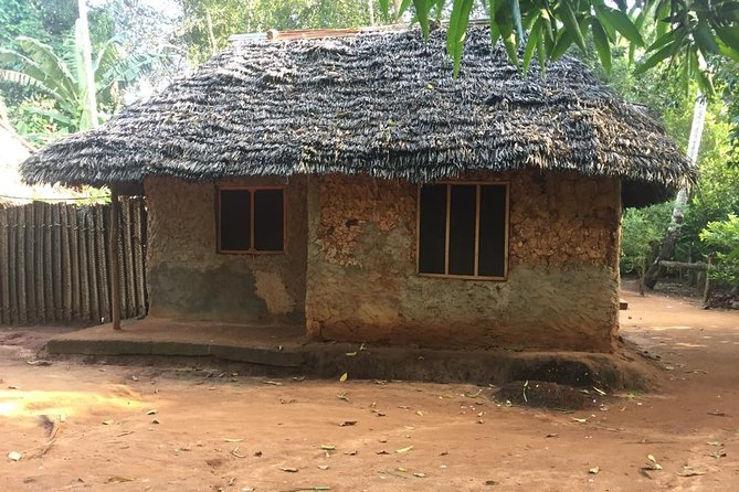 Stone Town, Spice Farm and Jozani Forest Private Tour - Private transport and a flexible day