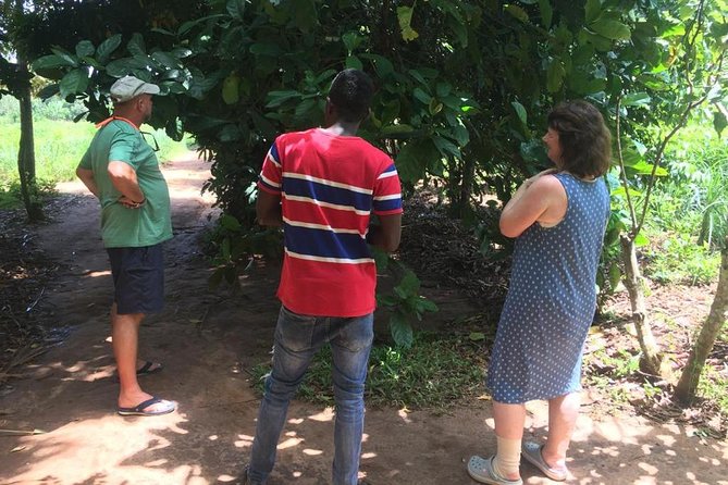Stone Town, Spice Farm and Jozani Forest Private Tour - Who will get the most from this tour?