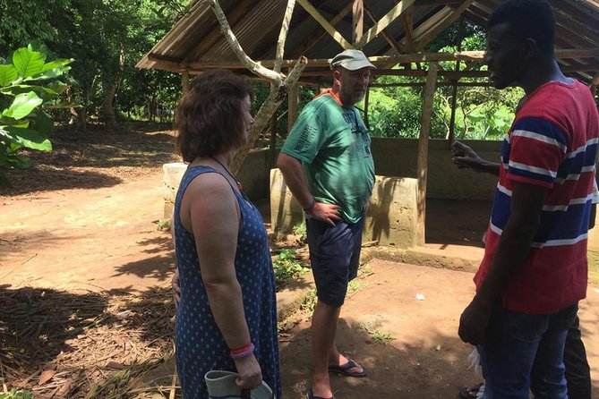 Stone Town, Spice Farm and Jozani Forest Private Tour - Should you book the Stone Town, Spice Farm, and Jozani tour?