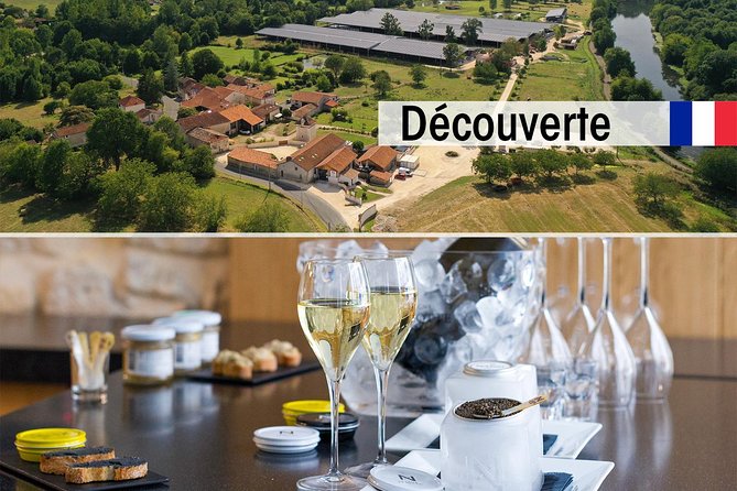 Sturgeon Fish-Farm Visit and Caviar Discovery Tasting in Neuvic - Why a Dordogne fish farm makes caviar more interesting