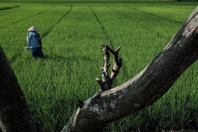 Sunset photo tour with the farmers - Who should book this Hoi An photo tour?
