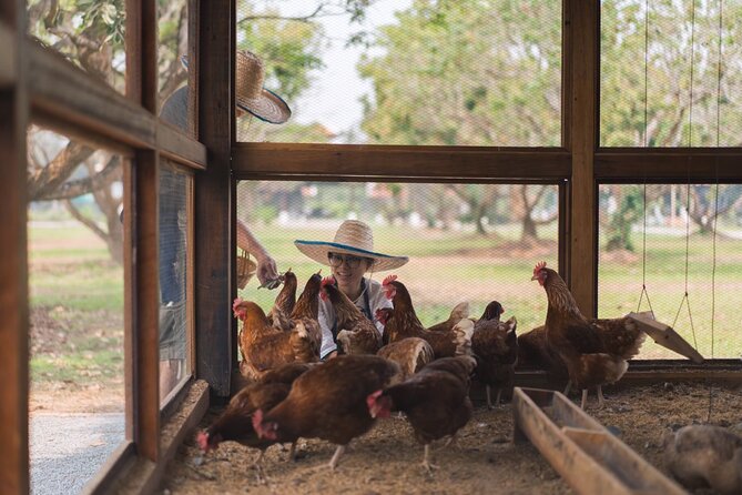 Sunset Thai Cooking with Grandma - Farm & Evening Feast - Dietary Requests and Menu Choices