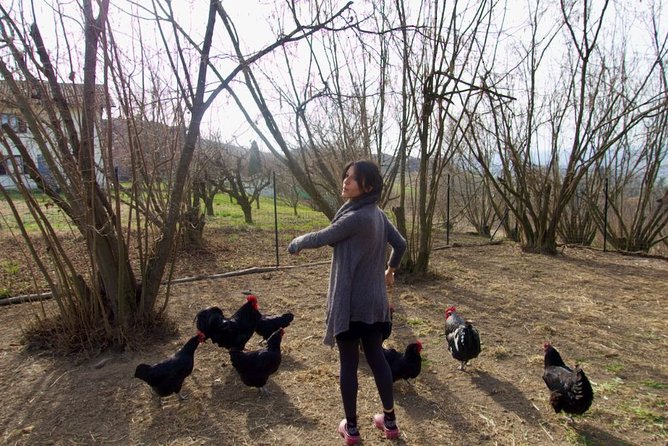Sustainable Farm Tour & Northern Italian Cooking Class in Asti - Sharing the meal at home
