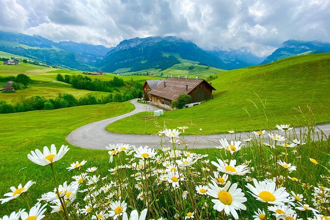 Switzerland Picturebook Private Tour: Farm, Villages, & Mountains - Who will enjoy this day most?