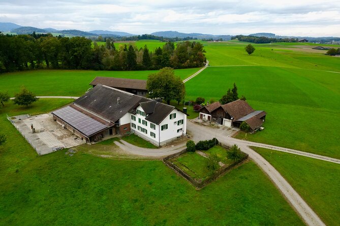 Switzerland Picturebook Private Tour: Farm, Villages, & Mountains - Practical details before you reserve