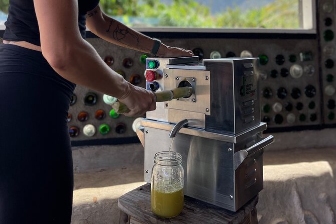 Taste of Hawaii: A Maui Farm Tour - Starting with fruit, sugarcane, and a friendly welcome