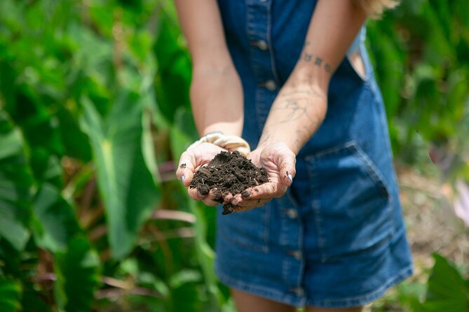 Taste of Hawaii: A Maui Farm Tour - Walking among the tropical plants