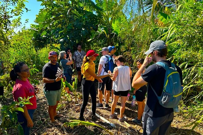 Taste of Hawaii: A Maui Farm Tour - The views toward Haleakalā and the West Maui Mountains