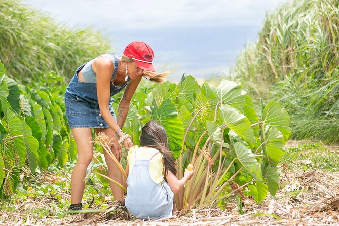 Taste of Hawaii: A Maui Farm Tour - Learning about Polynesian crops and Maui farming
