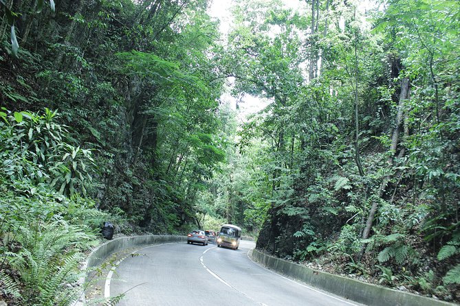 Taste of Jamaica Farm Cookout - Leaving Ocho Rios for Fern Gully