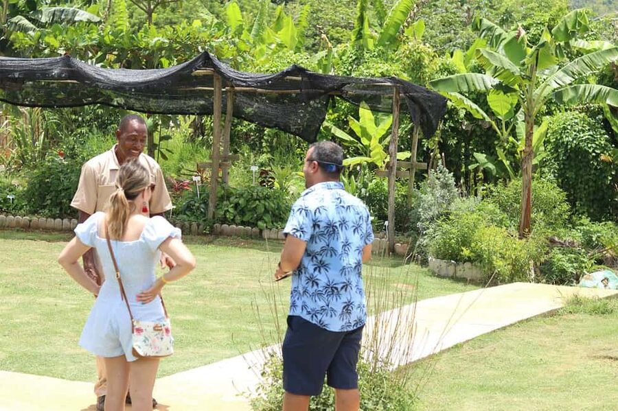 Taste of Jamaica Farm & Food Tour - A farm visit that shows another Jamaica