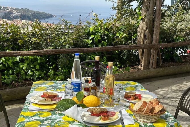 Tasting Limoncello, Oil and Typical Products in Farmhouse - Key points at a glance