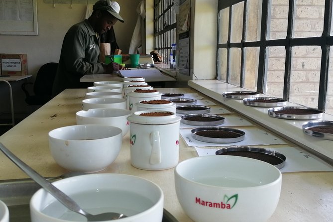 Tea Farm Experience at Riara Tea Farm And Factory Tour - Practical details to settle before departure