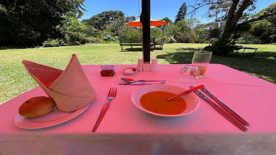 Tea Farm Tour From Nairobi (Kiambethu). - Key points to know before you book