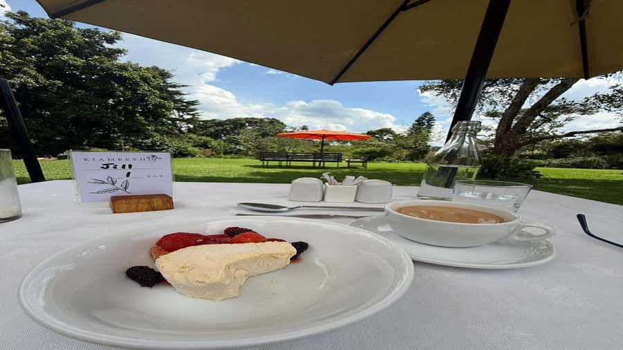 Tea Farm Tour From Nairobi (Kiambethu). - Who will enjoy this half-day outing?
