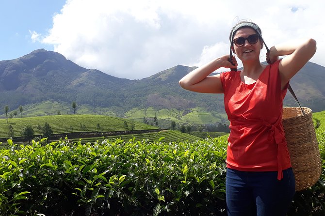 Tea Farm Tourism - Key points to know before booking