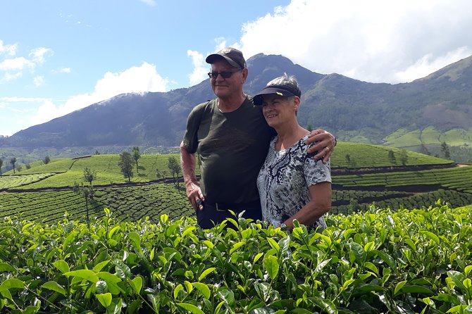 Tea Farm Tourism - Meeting Arun at 9:00 am