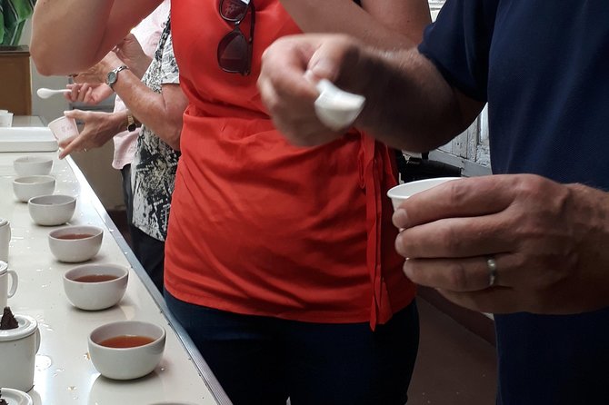 Tea Farm Tourism - Meeting tea pickers and seeing the work up close