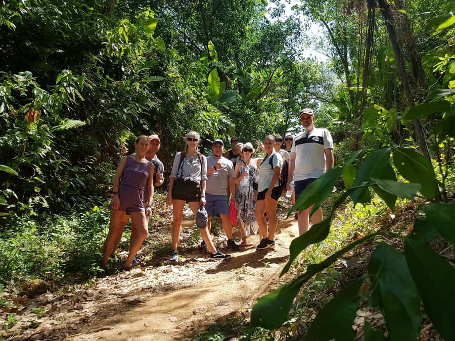 Temple and Jungle Trekking tour with Lunch at Farm-to-Table - Understanding Wat Chalong’s importance