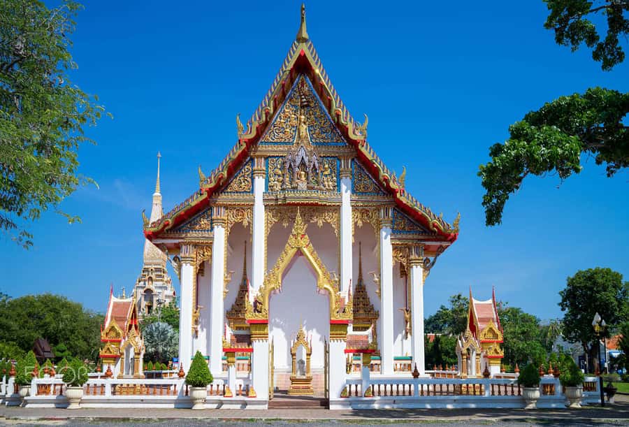 Temple and Jungle Trekking tour with Lunch at Farm-to-Table - Guide style and group atmosphere
