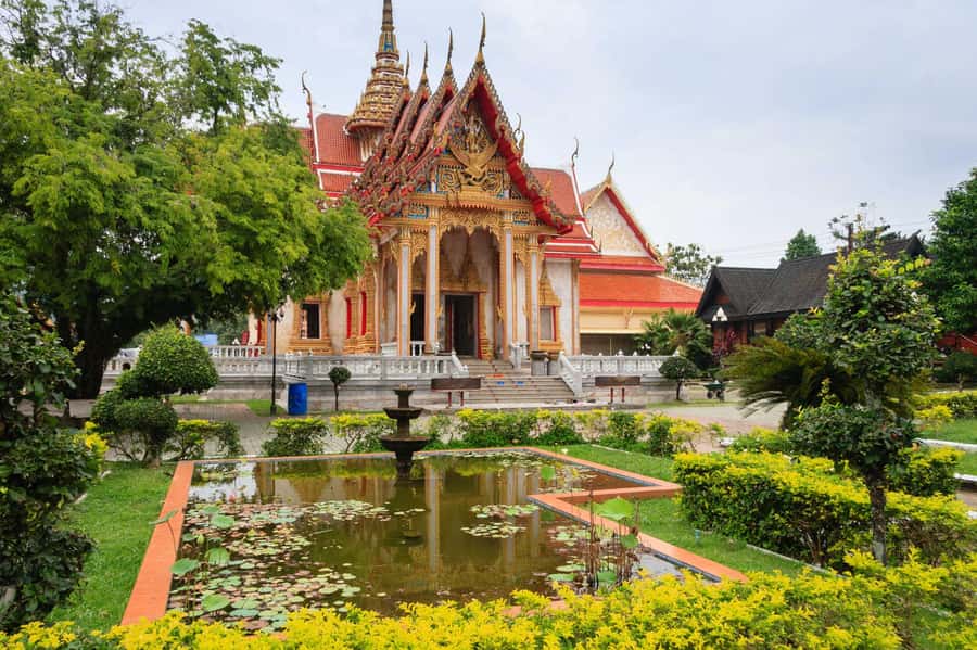Temple and Jungle Trekking tour with Lunch at Farm-to-Table - What the $49 price includes