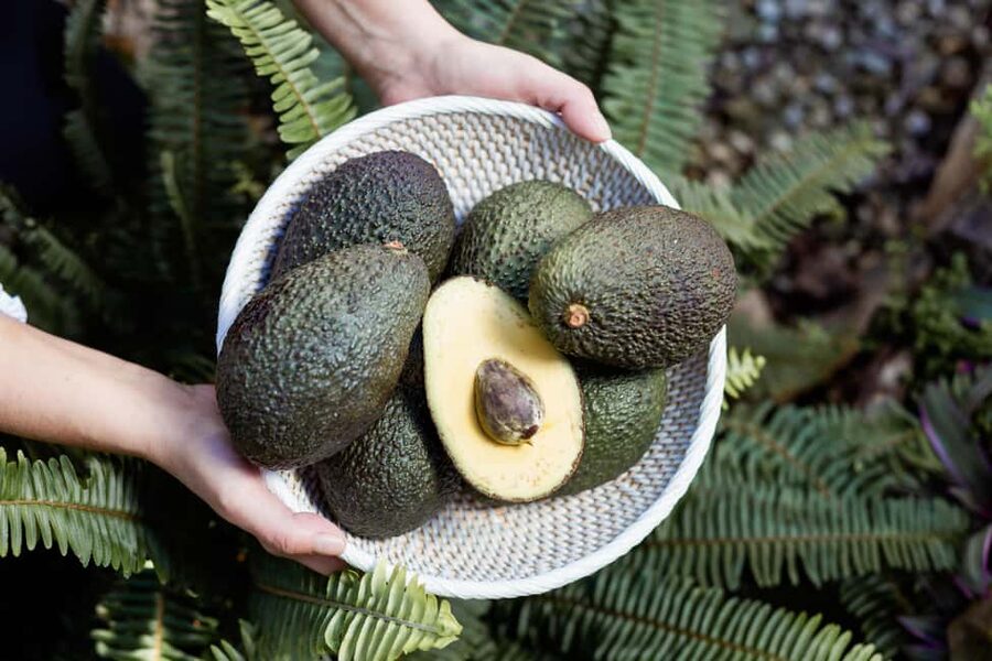Tenerife: Avocado Farm Tour with Tasting Menu & Wine - Walking among avocado and fruit trees