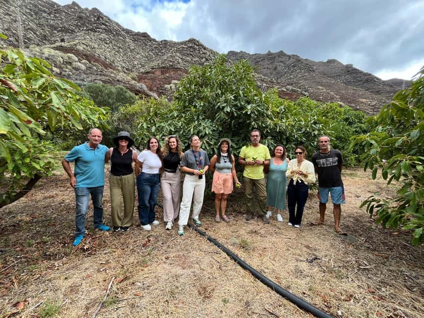 Tenerife: Avocado Farm Tour with Tasting Menu & Wine - Tenerife wine in an open-air setting